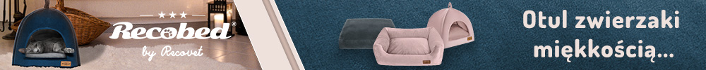 Recobed-https://www.recobed.pl/