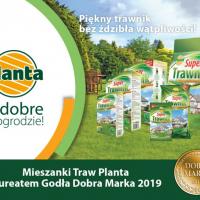 PLANTA_DM_2019.jpg