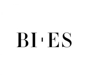 BI ES logo