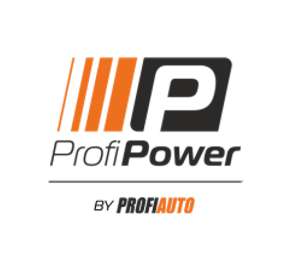 Profi Auto logo