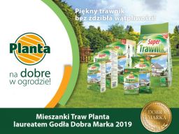Dobra Marka w mediach