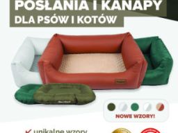 Dobra Marka w mediach