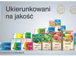 Dobra Marka w mediach
